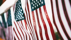 Stories that Bynd Us: November 11 / Veterans Day