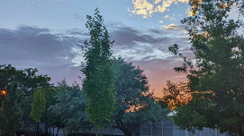 Why attending conferences is beneficial for everyone