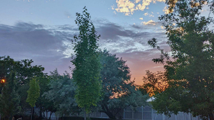 Why attending conferences is beneficial for everyone