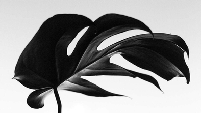 Stories that Bynd Us: Juneteenth