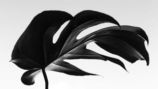 Stories that Bynd Us: Juneteenth